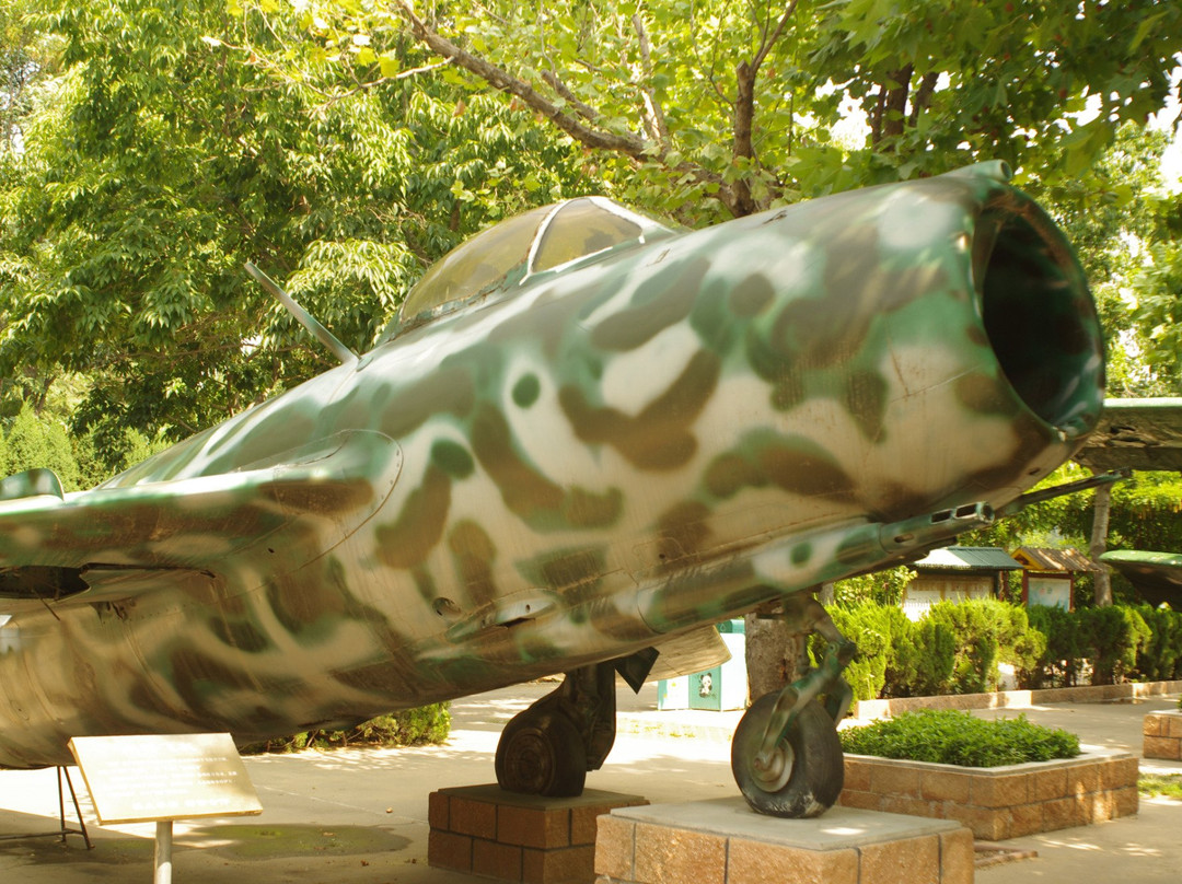 潍坊金宝游乐园-潍坊市必去景点