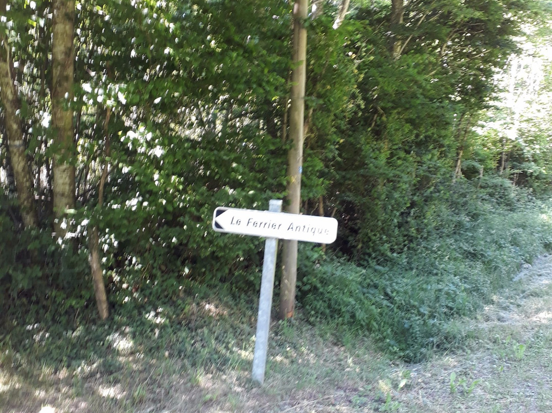 Le Ferrier Antique-Tannerre-en-Puisaye必去景点