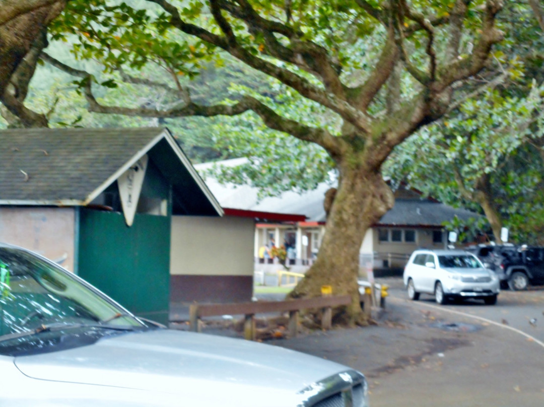 Hana Bay Beach Park景点图片