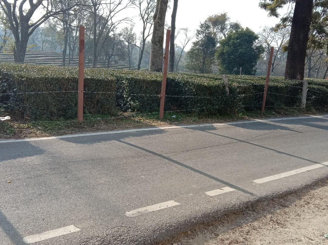 Hotel Mattoshree主图