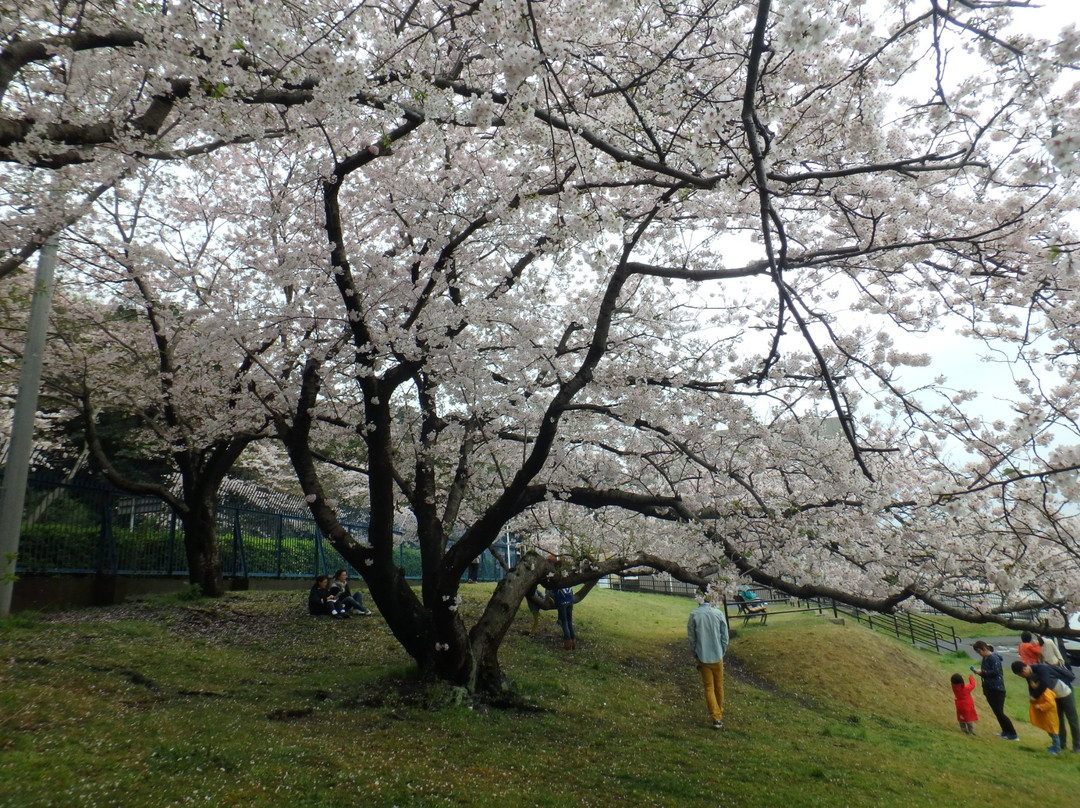Yokosuka Hashirimizu Dam-横须贺市必去景点