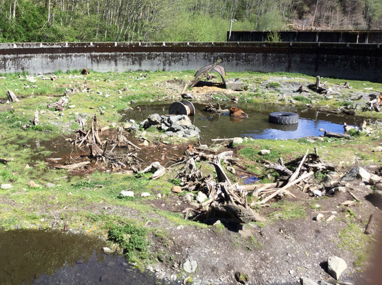 Sitka Tribal Tours-锡特卡必去景点