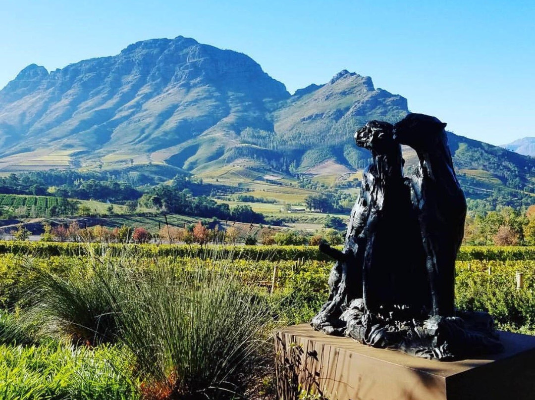 Delaire Graff Estate-斯泰伦博斯必去景点