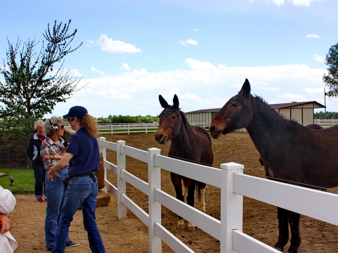 Lucky Three Ranch-拉夫兰必去景点