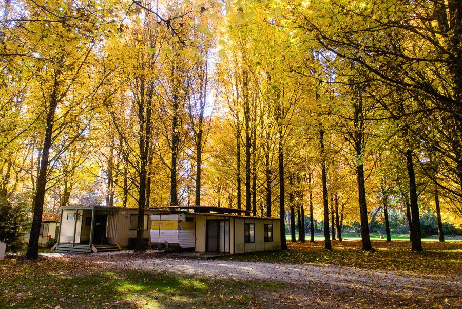 Mt Buffalo Caravan Park