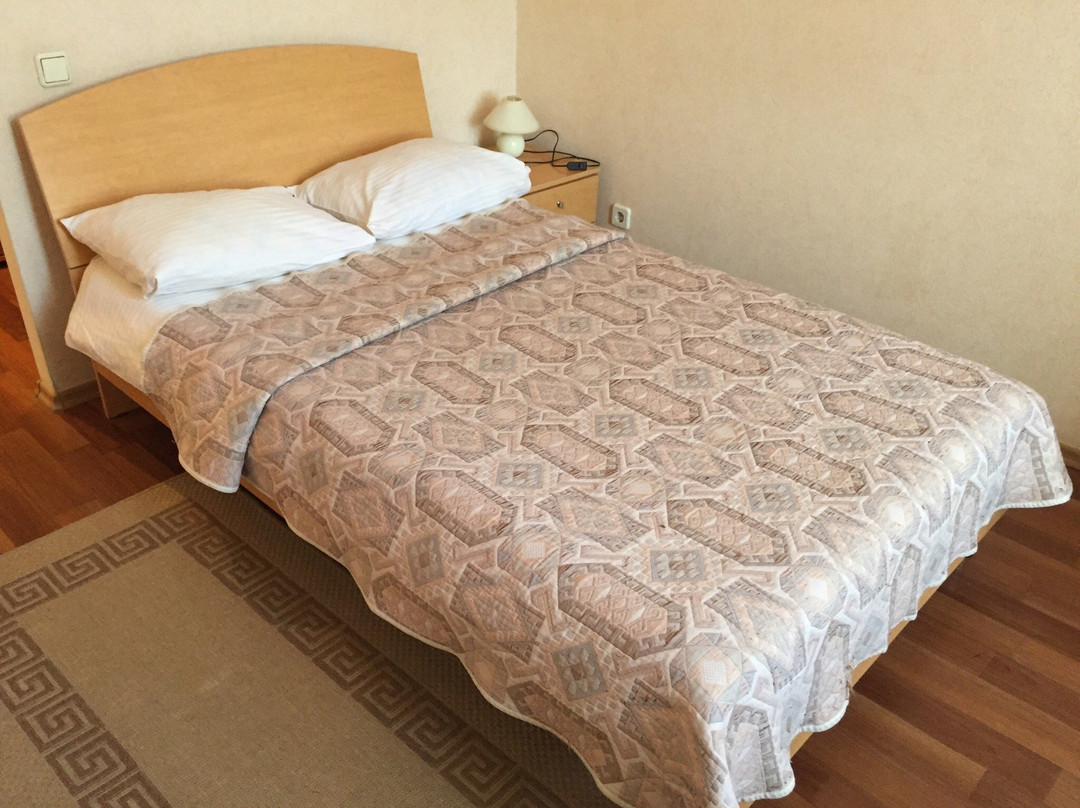 Bolshoy Vyas酒店住宿-Mirta Hotel