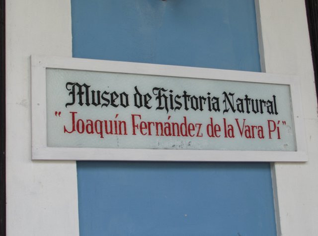 Museo de Historia Natural景点图片