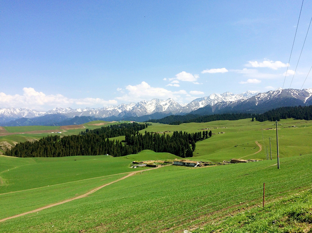 江布拉克景区-奇台县必去景点