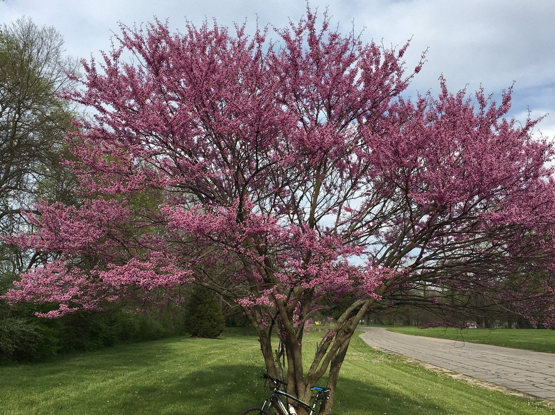 Independence Dam State Park-Defiance必去景点