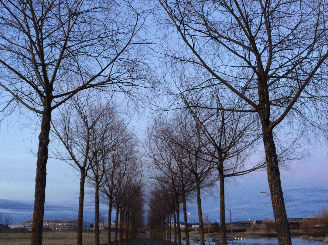 Nansen Park-Fornebu必去景点