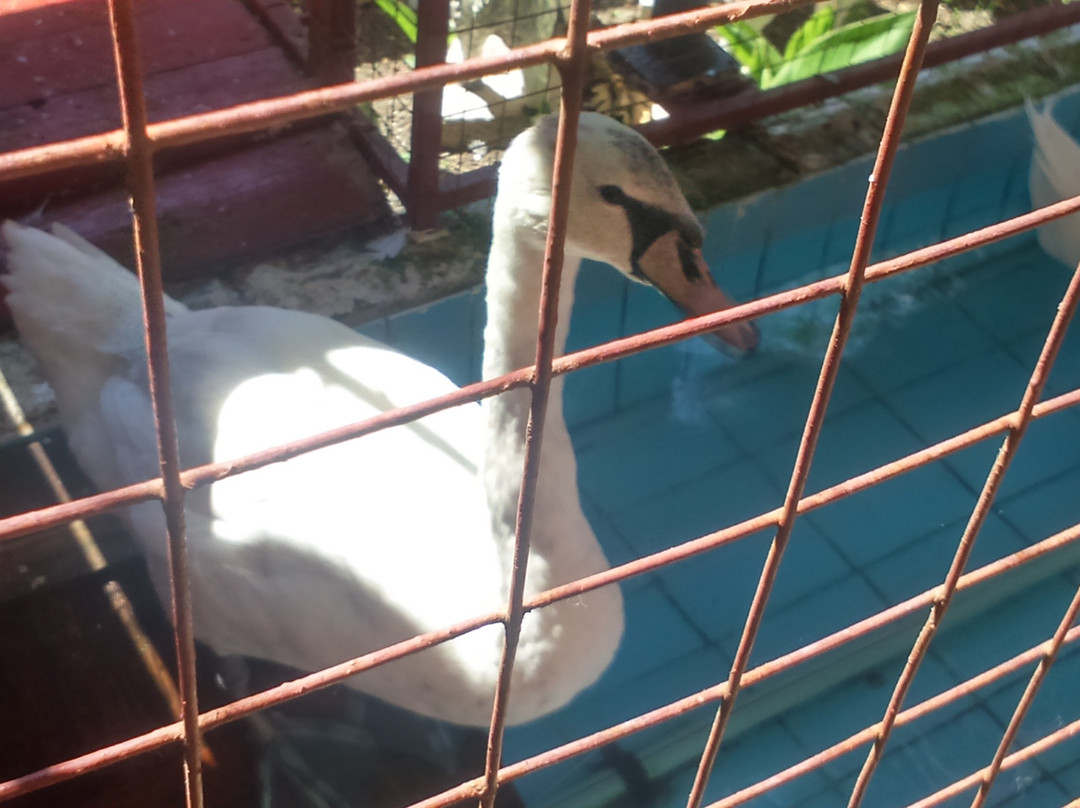 VarLiana Hotel主图