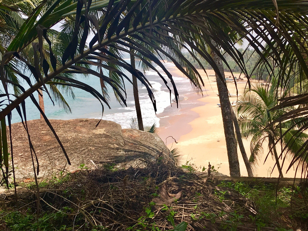 ANANDA Ayurveda Resort