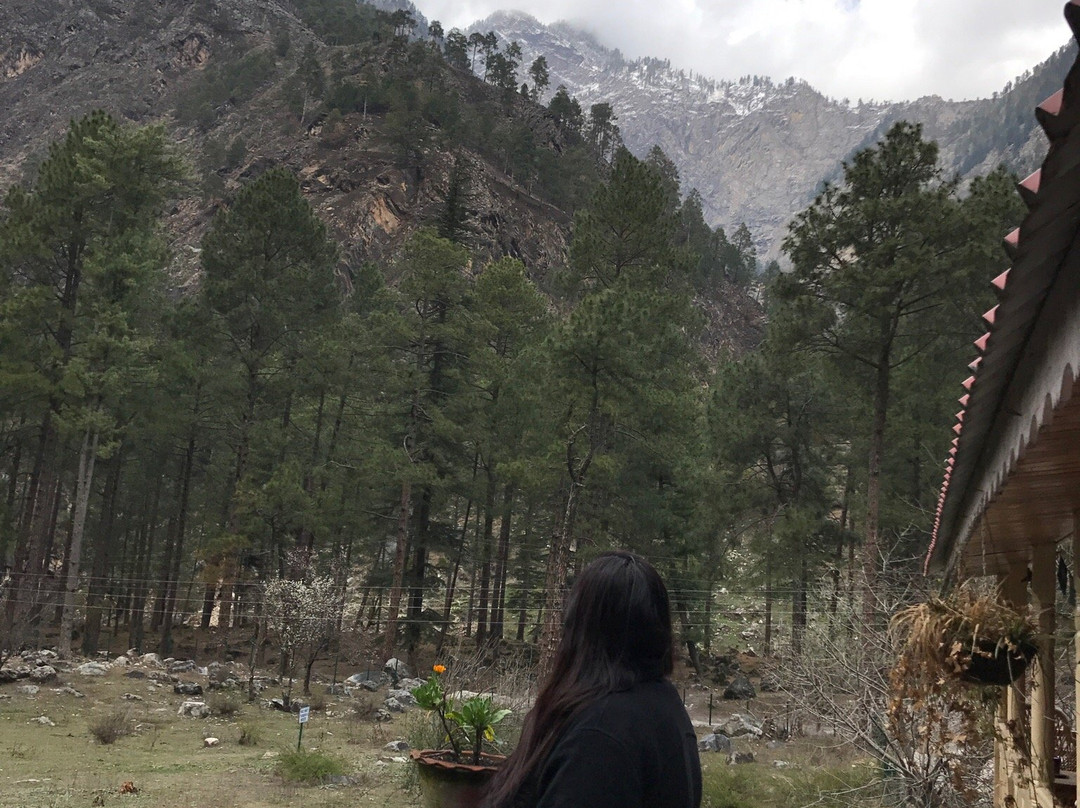 Parvati Woods Cottage主图