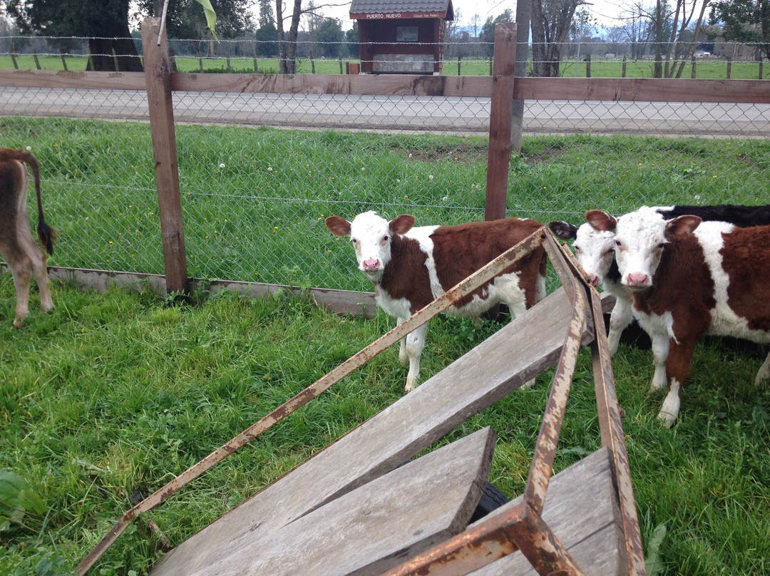 Balneario Puerto Nuevo-Ciudad La Union必去景点