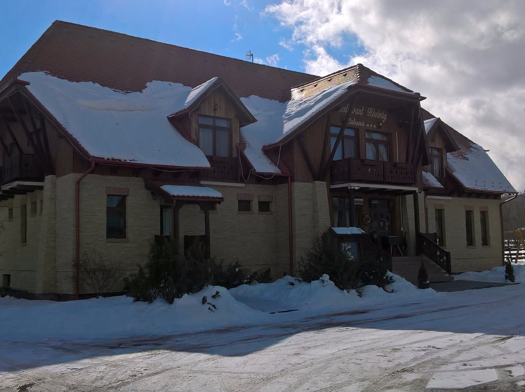 Borzont酒店住宿-Hovirag Panzio