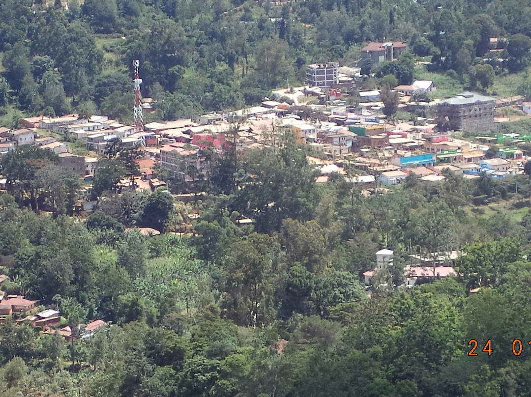 Lavender Garden Hotel主图