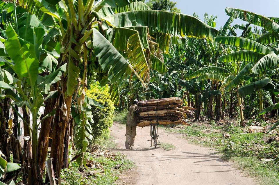 Mto wa Mbu旅游攻略图片