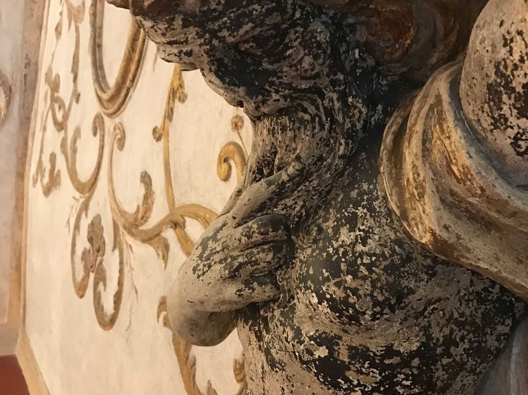 Museo Civico景点图片