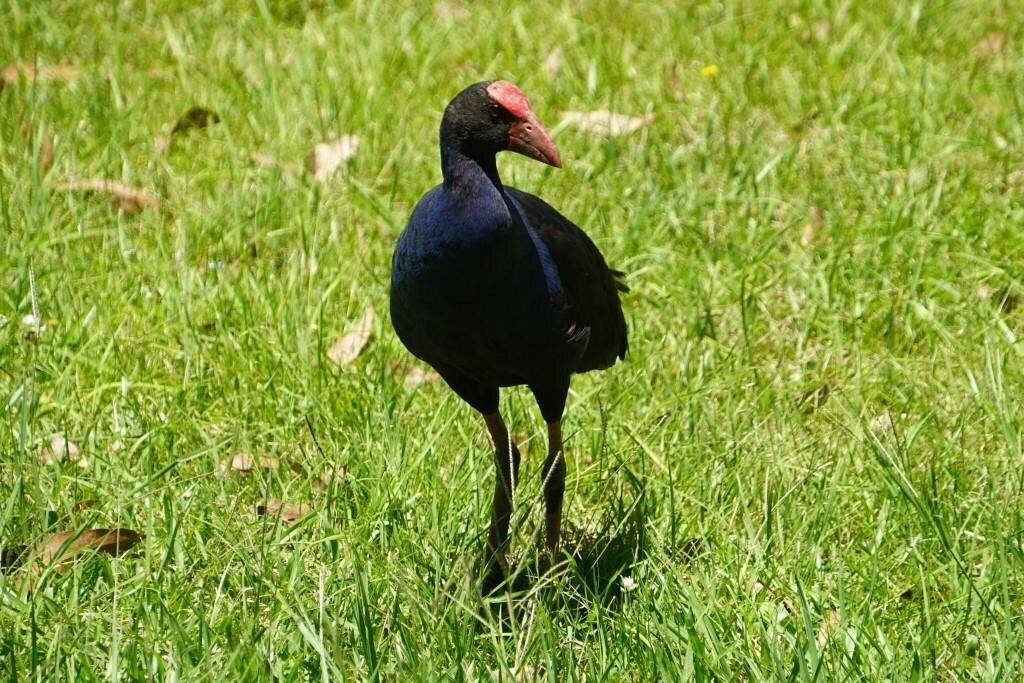 Storm King Dam-史丹霍普必去景点