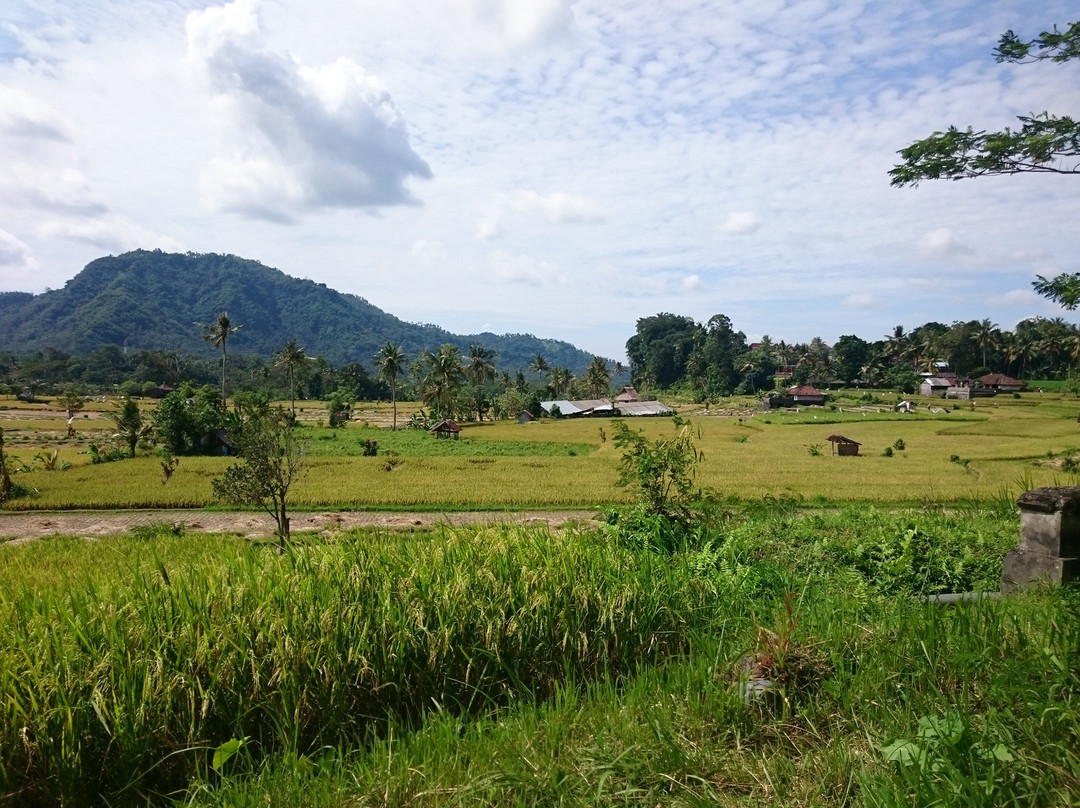 Vistaloka Bali Tour-登巴萨必去景点