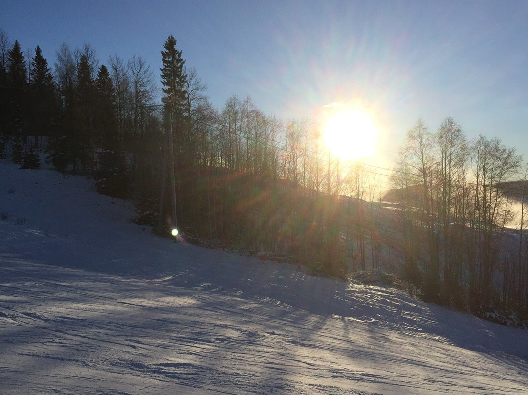 Hurdal Skisenter景点图片