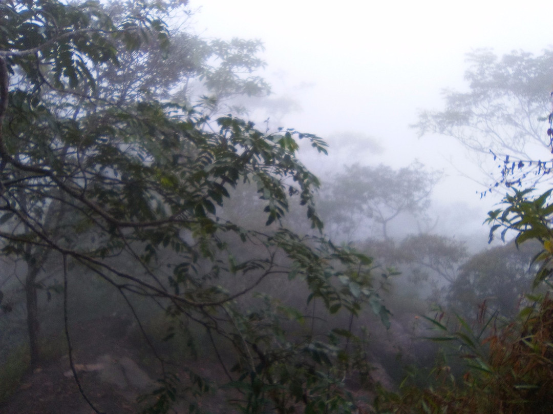 Morro de Calzada-Moyobamba必去景点