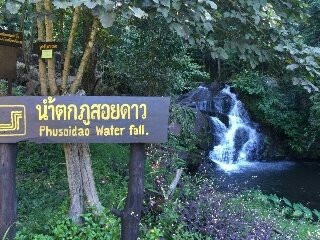 Phu Soi Dao National Park景点图片