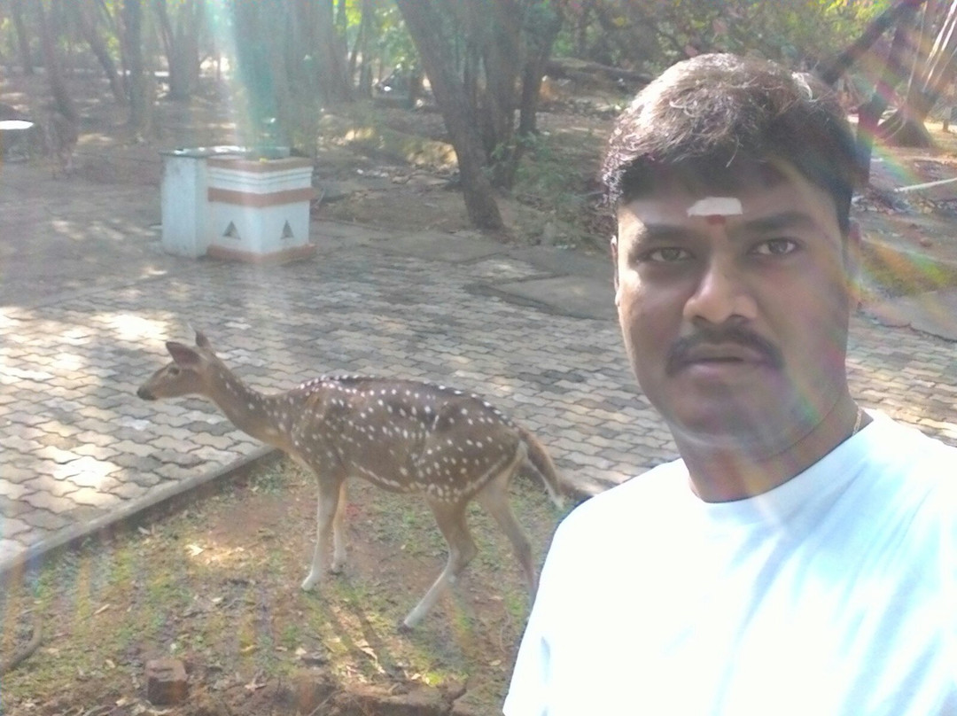 Jalakandeswarar Temple-金奈（马德拉斯）必去景点