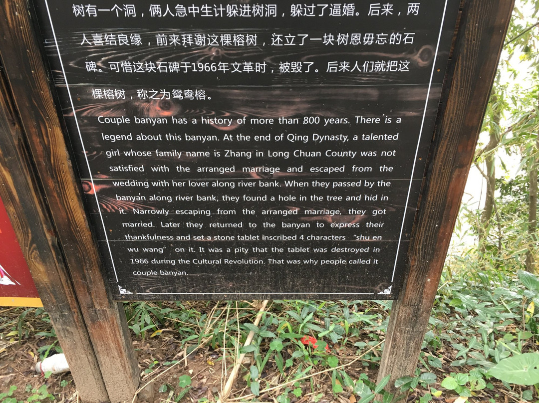 苏家围客家乡村-东源县必去景点