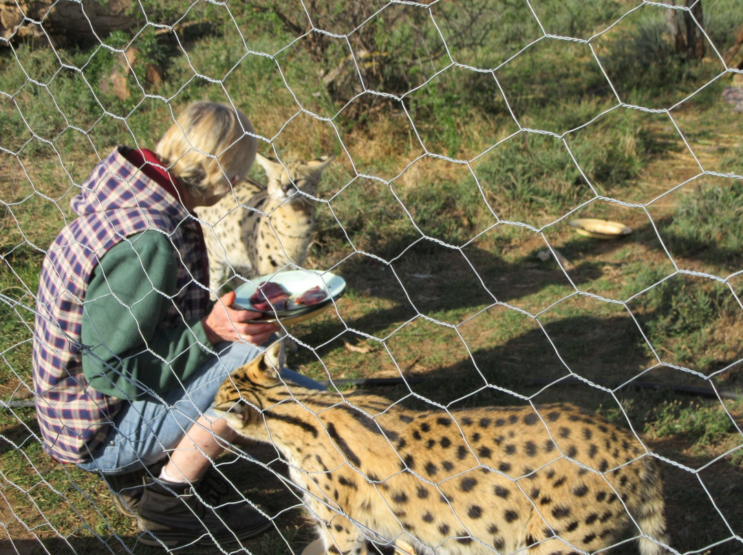 Cat Conservation Trust-Nxuba必去景点