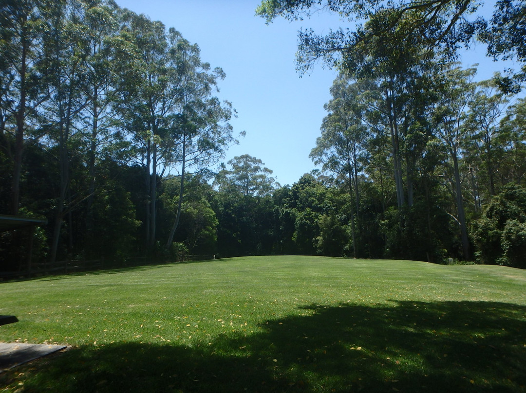Bulahdelah旅游景点-Great Lakes Paddocks
