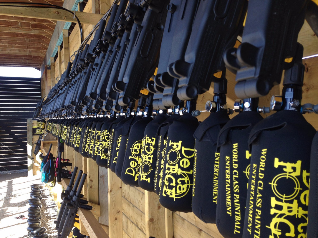 Delta Force Paintball Toronto-巴利必去景点