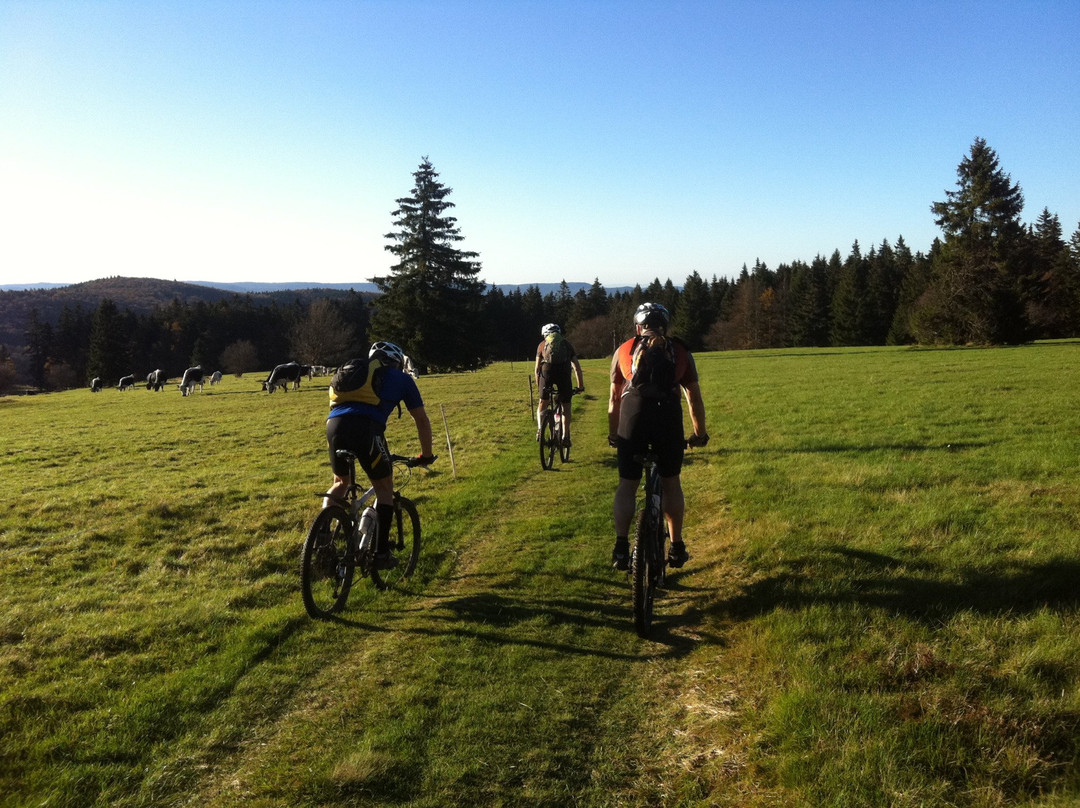 Natzwiller酒店住宿-Chambres d'Hotes La Forestiere