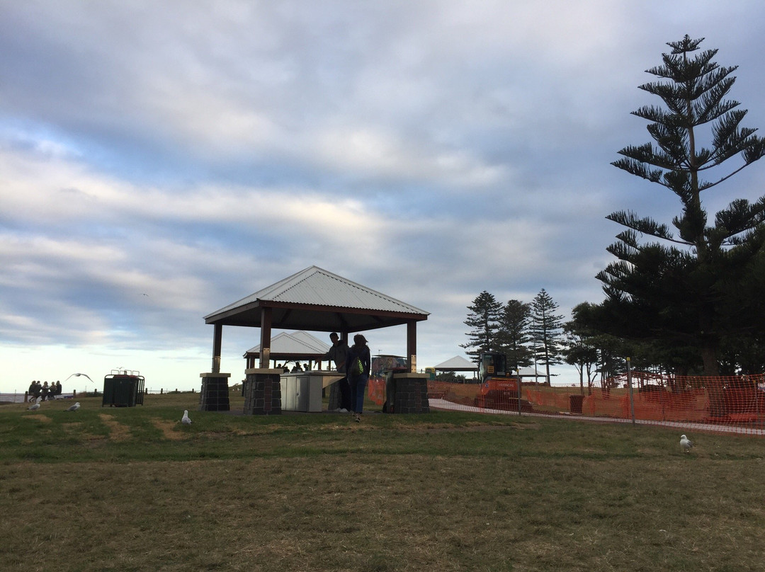 Stuart Park-卧龙岗市必去景点