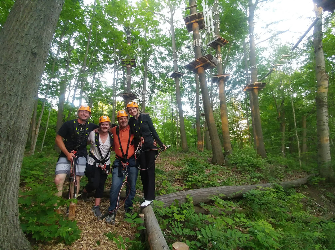 Radical Lines Aerial Adventure Park景点图片