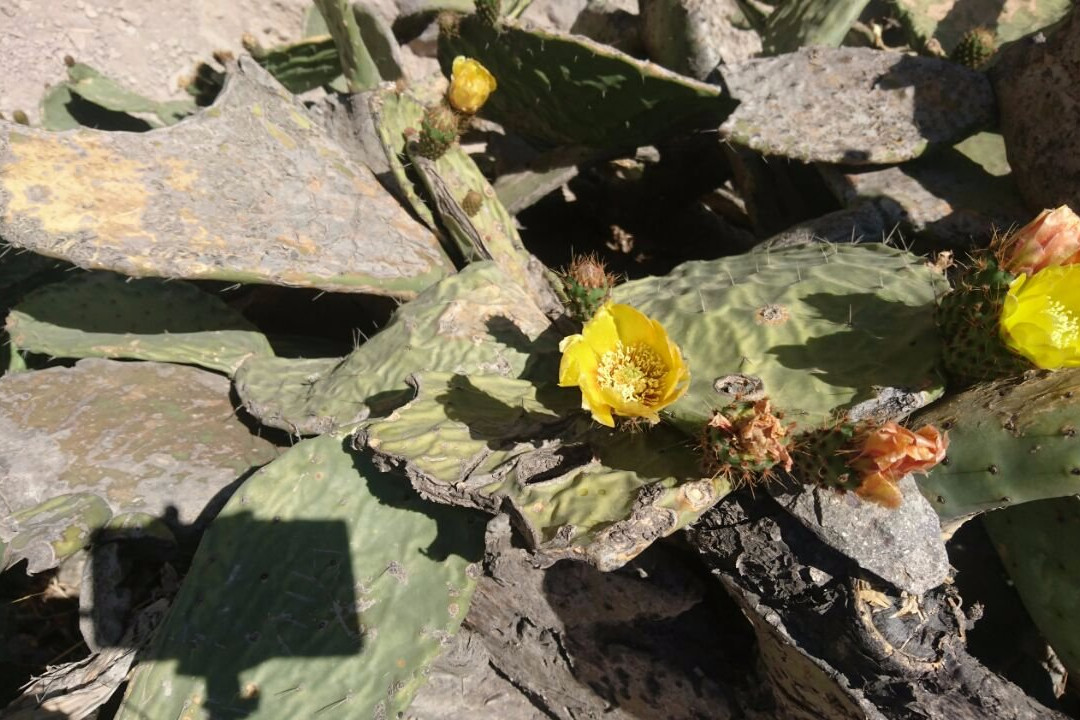 Catarata de Antankallo-Matucana必去景点