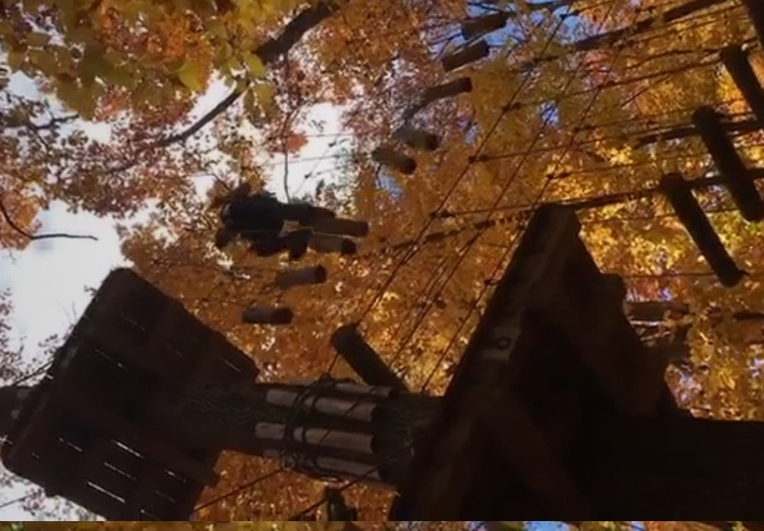 Empower Adventure Park at Nomads景点图片