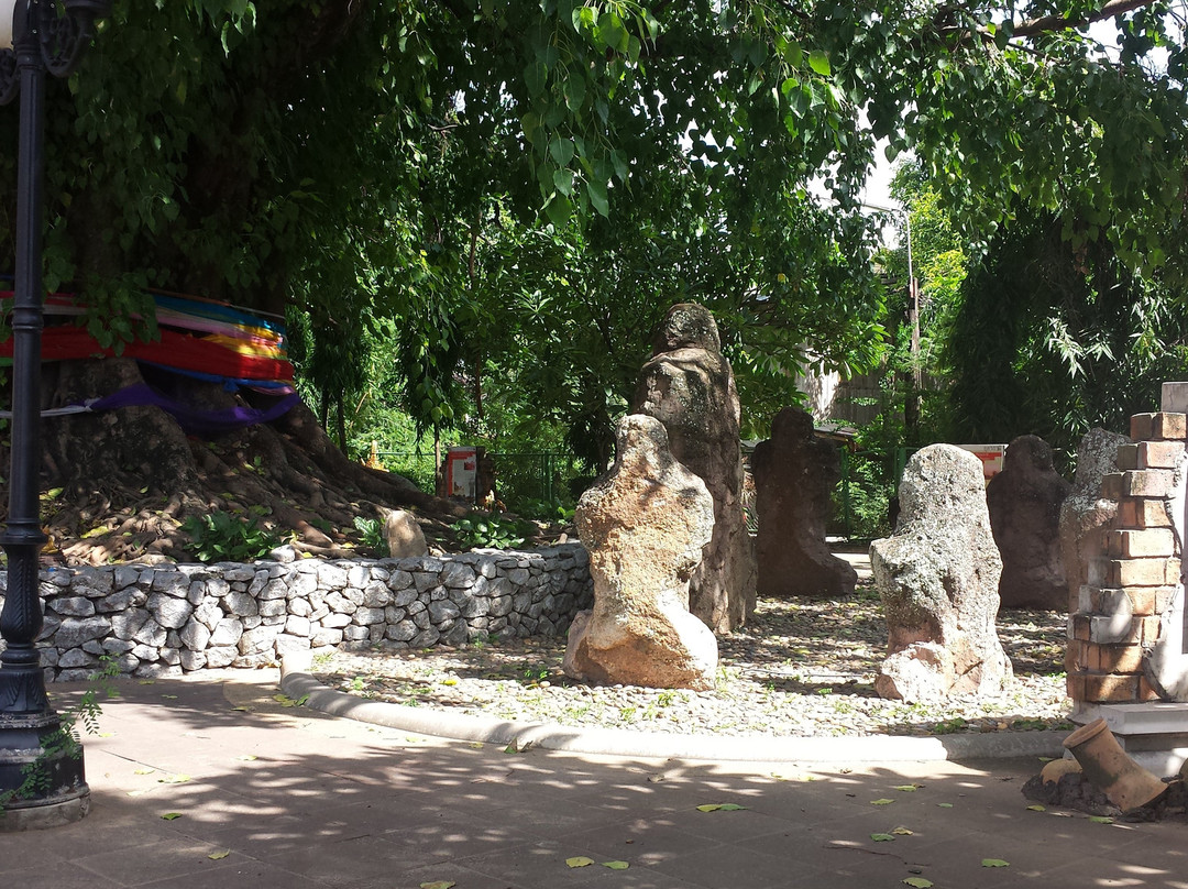 Si Maha Pho Tree景点图片