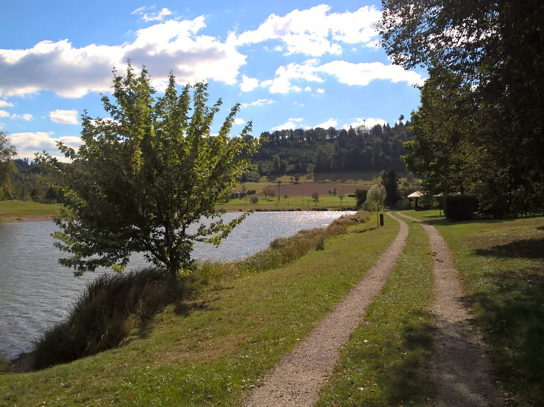 Pappelwaldsee Berghaupten景点图片