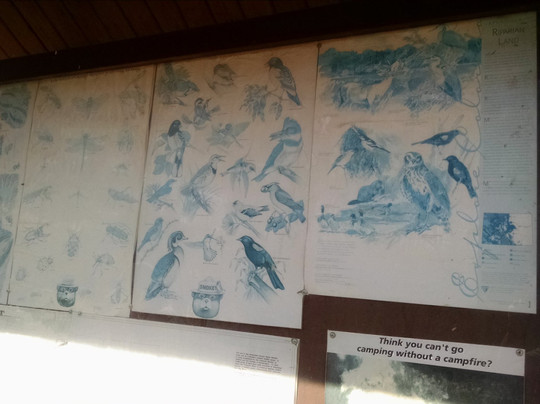 McInnis Canyons Conservation Area-弗鲁塔必去景点