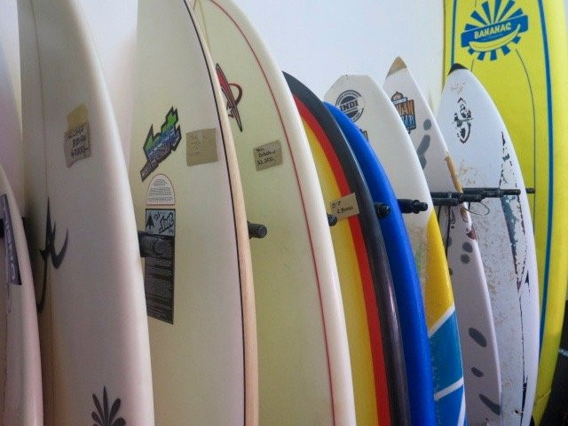 Kovalam Surf Club景点图片