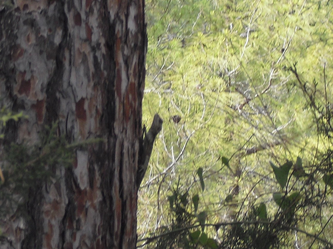 Smigies Nature Trail-城邦必去景点