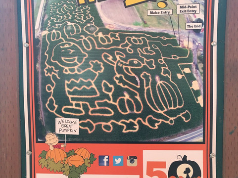 The Maize at The Pumpkin Patch-波特兰必去景点