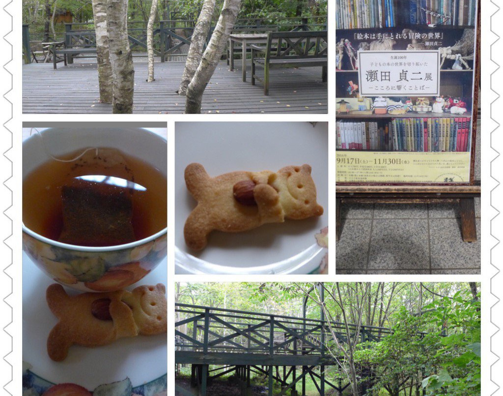 Yatsugatake Little Picture Book Museum-原村必去景点