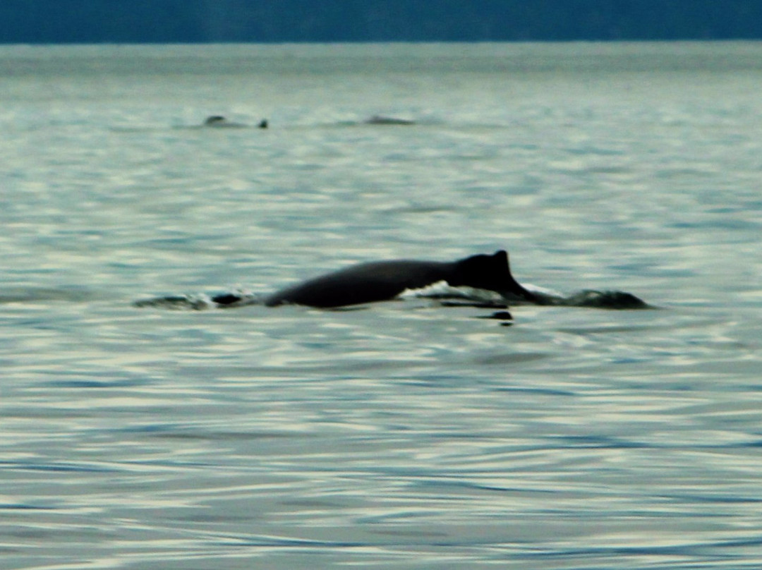 Secret Cove Sail Tours-Halfmoon Bay必去景点