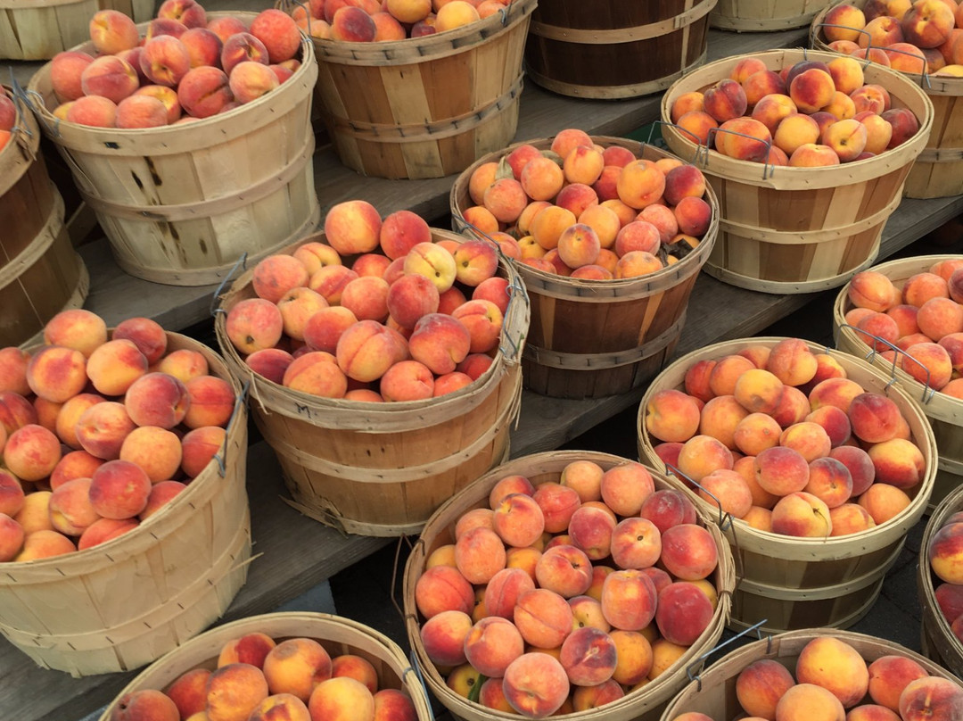 Cherry Street Market-Kalkaska必去景点