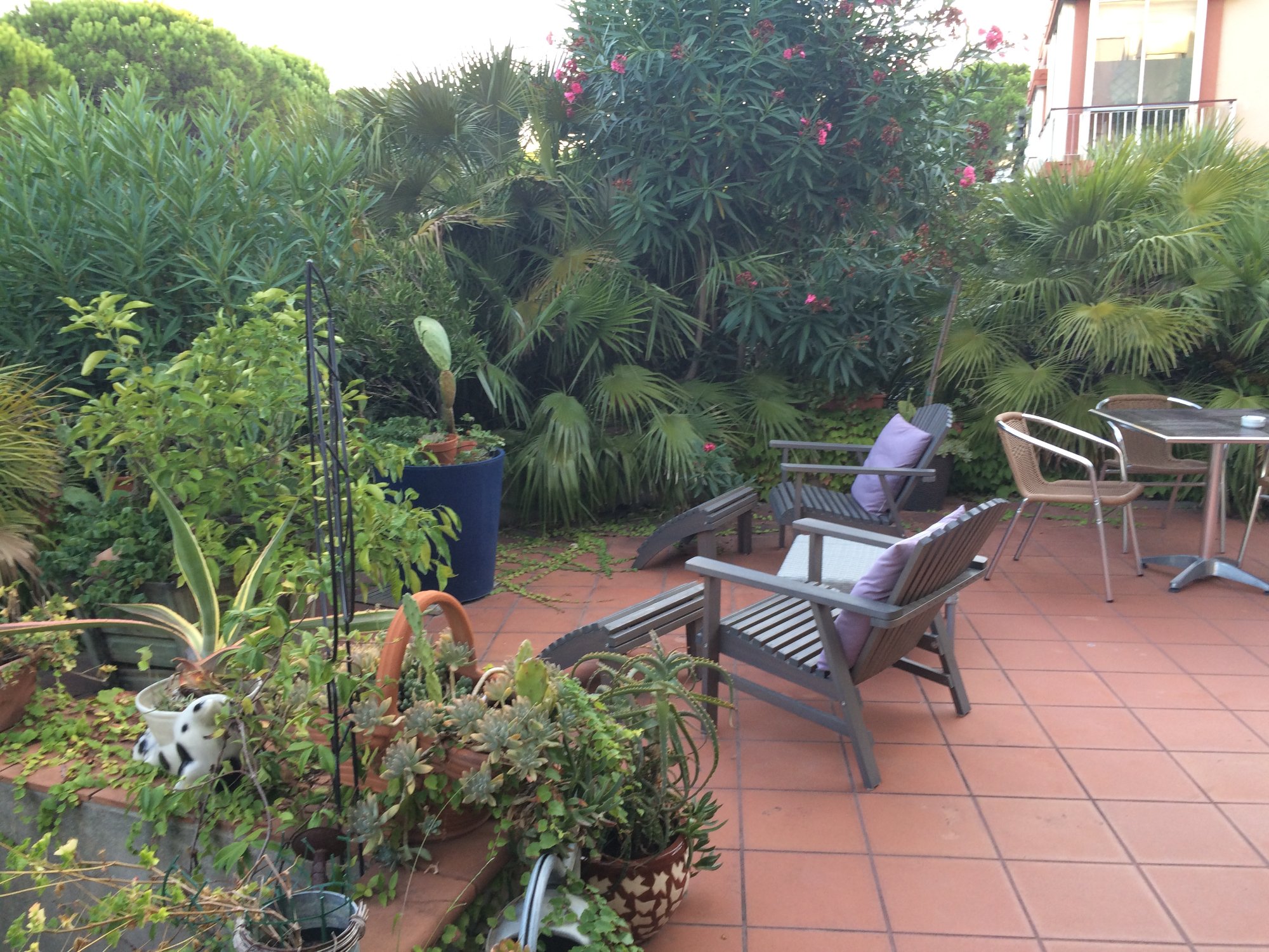 Le Palme Hotel-浴室