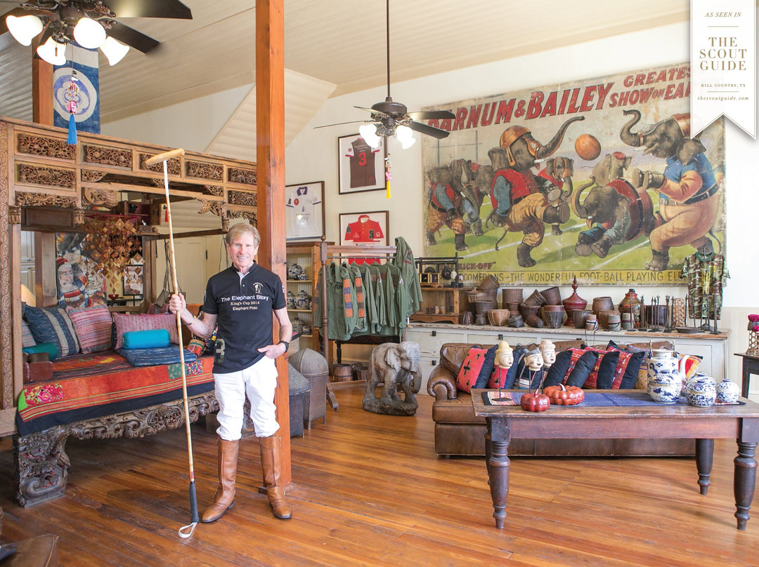 The Elephant Story-Comfort必去景点