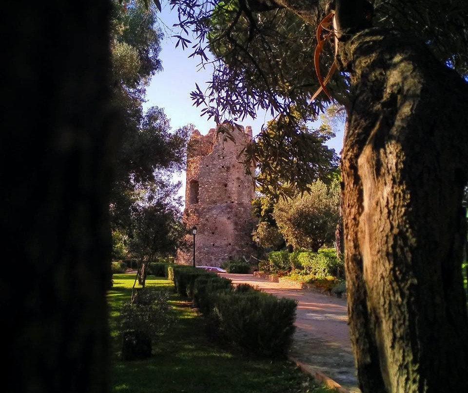 Torre di Santa Caterina景点图片