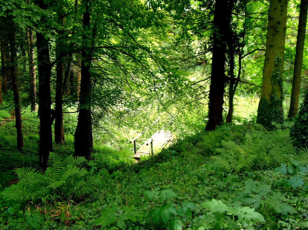 Agostyán Arboretum景点图片